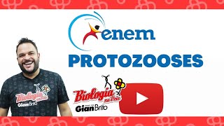 PROTOZOOSES  LIVE 30MIN DE BIO  QUESTÕES [upl. by Edylc]