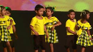 Educare Pre School  2018 Concert  Don Jin Jin [upl. by Kir256]