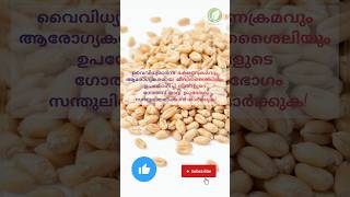 Benefits and side effects of wheat flour in malayalam malayalam weakimmunity [upl. by Janella]