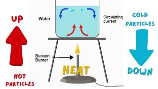 انتقال الحرارة في السوائل و الغازات بتيارات الحمل في أغنية  convection currents song for kids [upl. by Joby993]