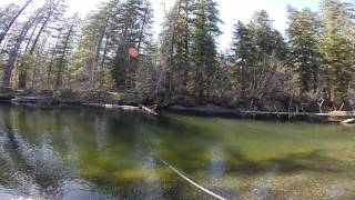 Steelhead fishing on the Situk River [upl. by Alec357]