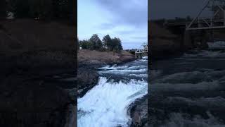 Spokane Falls  Washington State 💧 [upl. by Tiduj]