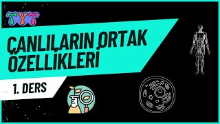 Canlıların Ortak Özellikleri tytbiyoloji 1Ders [upl. by Mezoff452]