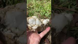 Quartz cluster from the Wright site [upl. by Bashemath]