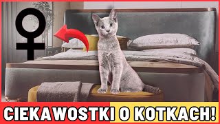 10 ZASKAKUJĄCYCH FAKTÓW O KOTKACH [upl. by Sethi]