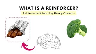 What is a Reinforcer and its types  Reinforcement Learning Theory Operant Conditioning [upl. by Bord]