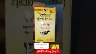 best veterinary antibiotic injection uses in hindi। treatment of anorexia and mastitis । vet care [upl. by Einahpit]