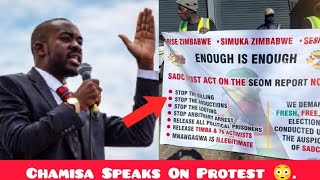 Video  Chamisa Warming Up For The Protest Zvaendwa Manje 😳 [upl. by Tasia]