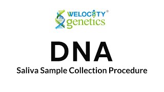 SALIVA SAMPLE COLLECTION PROCEDURE [upl. by Plafker357]