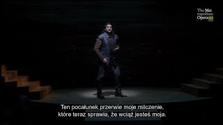 THE MET LIVE IN HD  2019–20  „Turandot”  Aria Kalafa z 3 aktu Eyvazov [upl. by Eidac]