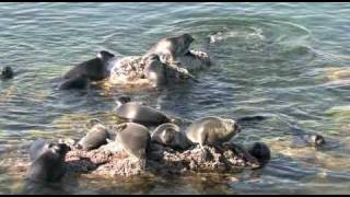 Lake Baikal Siberia Russia [upl. by Onej]