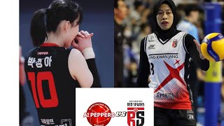 laga si cantik parkjoungah vs si ratu senyum megawatihangestri  parkjoungah vs megawatihangestri [upl. by Alverson246]