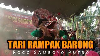 TARI RAMPAK SINGO BARONG Jaranan ROGO SAMBOYO PUTRO live Cengkok Tarokan Kediri [upl. by Spanos258]