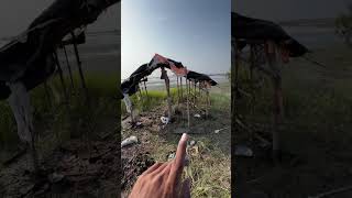 namak farm namak namka farm vlog rann no raja kutch seltblogger new trending viarni rann [upl. by Jude234]