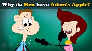 Why do Men have Adams Apple  more videos  aumsum kids science education children [upl. by Moreta]