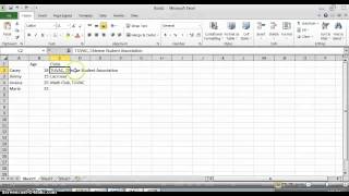 Basics of Making a Dataset in Excel [upl. by Lareine]