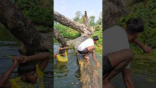 A tree branch is lying in the water [upl. by Ardnaik]