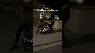 Who else is taking their dog trick or treating👻 dogs doglover dogstroller halloween dogmom [upl. by Arsi]