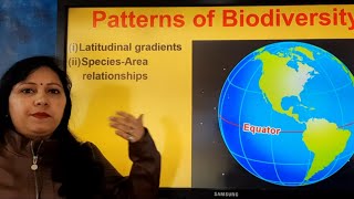 Patterns of biodiversity Latitudinal gradient Class 12 Biodiversity and its conservation [upl. by Ermeena]