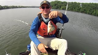 Turning Bass into Catfish Constant Catfishing Action [upl. by Desma]