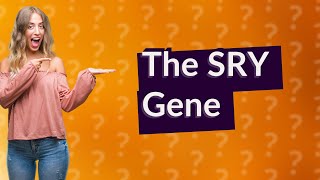 Is the SRY gene only in males [upl. by Enerual]