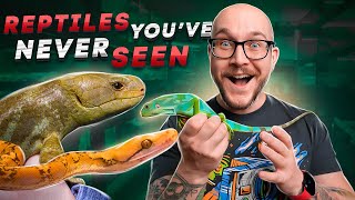 5 Of My Rarest Reptiles Ive Never Shown You Before  Mini Reptile Room Tour [upl. by Maighdlin]