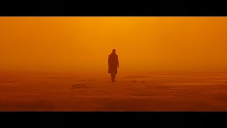 Roger Deakins Tribute Part 3 [upl. by Eilla]