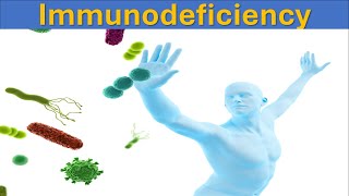 Understanding Immunodeficiency Causes Types and Treatments  Immune System [upl. by Missy8]