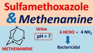 Sulfamethoxazole and Methenamine drug interaction [upl. by Notsag]