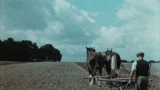 English Harvest 1938 [upl. by Ecniuq]