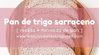 PAN DE TRIGO SARRACENO  sin gluten  sin huevo  sin lácteos [upl. by Boys960]