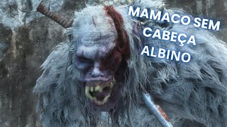 MAMACO ALBINO RESUMODALIVE [upl. by Hillyer]