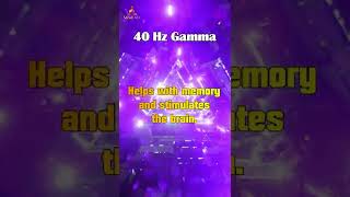 40 Hz Pure Tone Binaural Beat  Gamma Waves for FOCUS MEMORY and CONCENTRATION [upl. by Hilary]