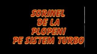 SORINEL DE LA PLOPENI PE SISTEM TURBO [upl. by Giza]