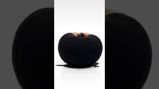 Apple Painted With the Blackest Paint Musou Black [upl. by Gunthar726]