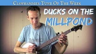 Clawhammer Banjo  Tune and Tab of the Week quotDucks on the Millpondquot [upl. by Notsreik]