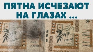 СВЕРХМОЩНЫЙ способ для чистки КОВРА ПАЛАСА ДИВАНА МЕБЕЛИ [upl. by Aushoj]