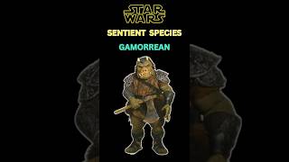 Star Wars Sentient Species Gamorrean starwars shorts starwarsfacts [upl. by Oicnaneb]