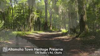 Beaufort County Passive Parks Altamaha Town Heritage Preserve [upl. by Kelam]