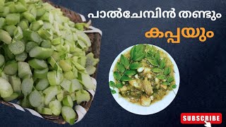 ചേമ്പിൻ തണ്ടും കപ്പയും I താളും പൂളയും I How To Make Chembu Kappa Curry I Old Kerala Recipes I Curry [upl. by Ofilia270]