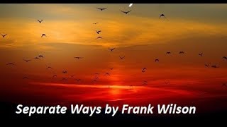 Separate Ways Cover by Frank Wilson [upl. by Luba]