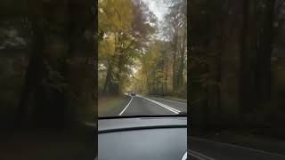 Caminho para Reading 🍁🍂 calmdown musica love vlog travel [upl. by Bohannon691]