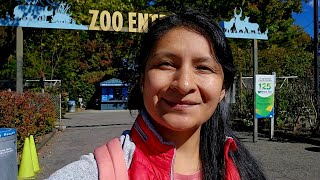 PASEO escolar hacia el ZOOLOGICO del Bronx 🦁 Bronx Zoo  NY 🦒 [upl. by Peterman986]