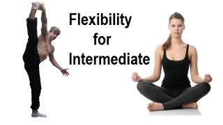 Flexible in 5 Minutes Daily Intermediate Flexibility Routine [upl. by Ezri737]