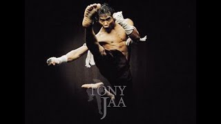 Tony Jaa  HD  L Honneur Du Dragon 2005  Combat [upl. by Lauri]