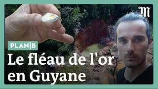 Guyane  sur la piste des chercheurs d’or illégaux [upl. by Eram530]