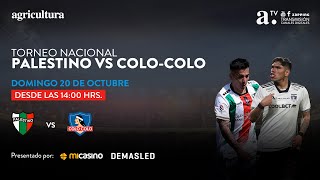 Palestino vs ColoColo  Torneo Nacional  Fecha 28  20102024 [upl. by Beane]