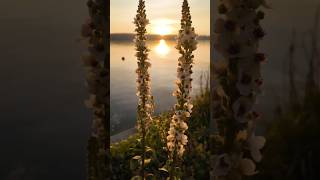 Überlingen Bodensee Baden Württemberg Germany [upl. by Ilrebmyk]