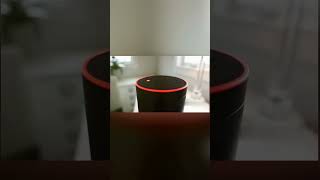 Echo com Alexa 4ª Geração Com som premium e hub Zigbee de casa inteligente quot  Reveiw [upl. by Amaj]