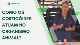 Farmacologia Veterinária Anti Inflamatórios Esteroidais [upl. by Farah]